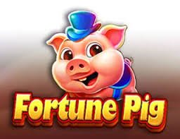filbet casino
